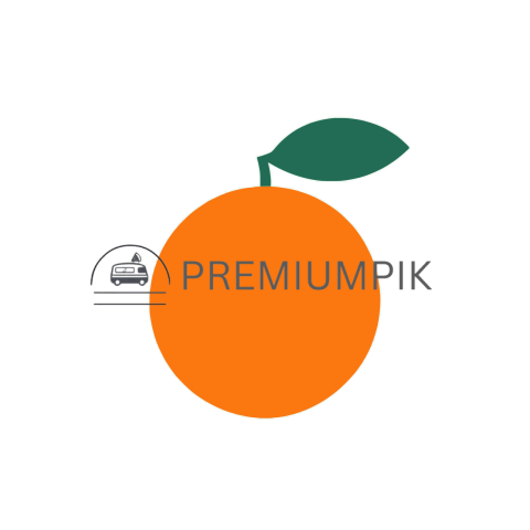 Orange  icon png