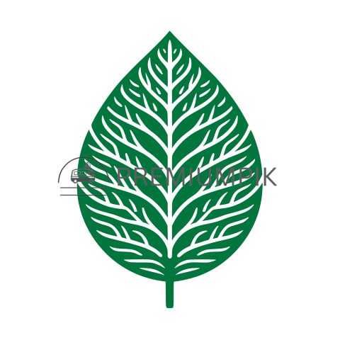 Green leaf icon vector design