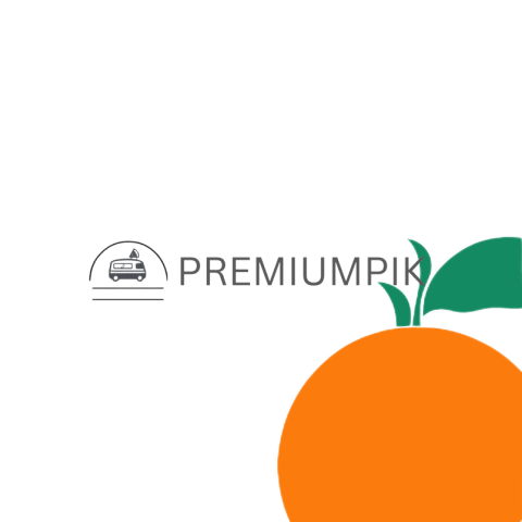 orange on a transparent background