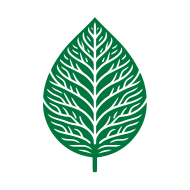 Green leaf icon vector design