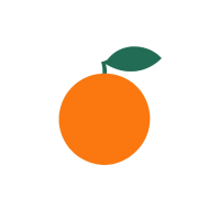 Orange  icon png