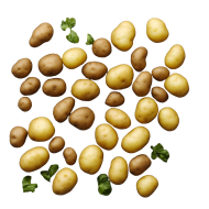 Potatoes transparent photo