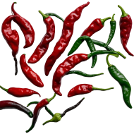 Red  and green chillies transparent photo