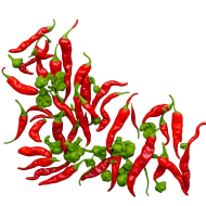 Red chillies transparent photo