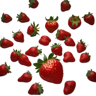 Strawberries fruit on transparent background